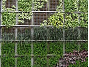 ユニット型壁面緑化システム「パラビエンタ」