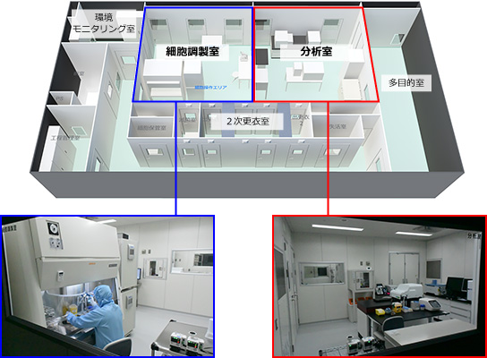 施設規模は約100m2。細胞培養の研究に必要な機能を集約した30m2のユニットを組み合わせて構築