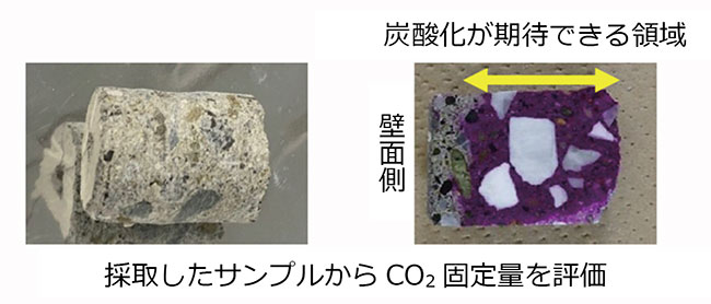 変色部は未中性化部（CO2と反応できるカルシウム分が残っている領域）