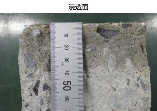 加圧手法によるDACコートの浸透状況（ぬれ色部が浸透範囲）