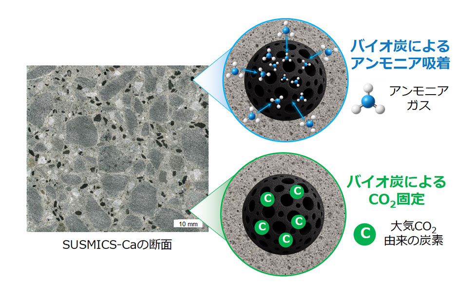 バイオ炭によるアンモニア吸着とバイオ炭によるCO2固定
