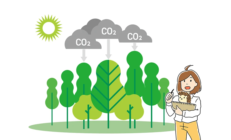 環境と人にやさしい建築の鍵は、CO2を吸収・除去することにありました。