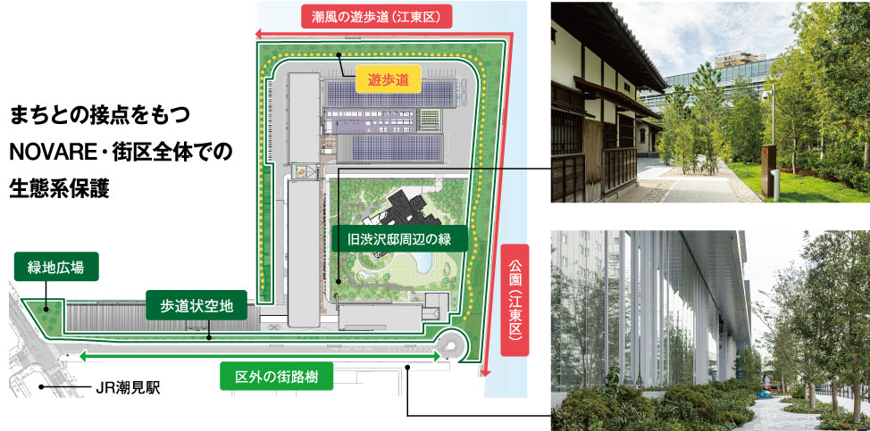 まちとの拠点をもつNOVARE・街区全体での生態系保護