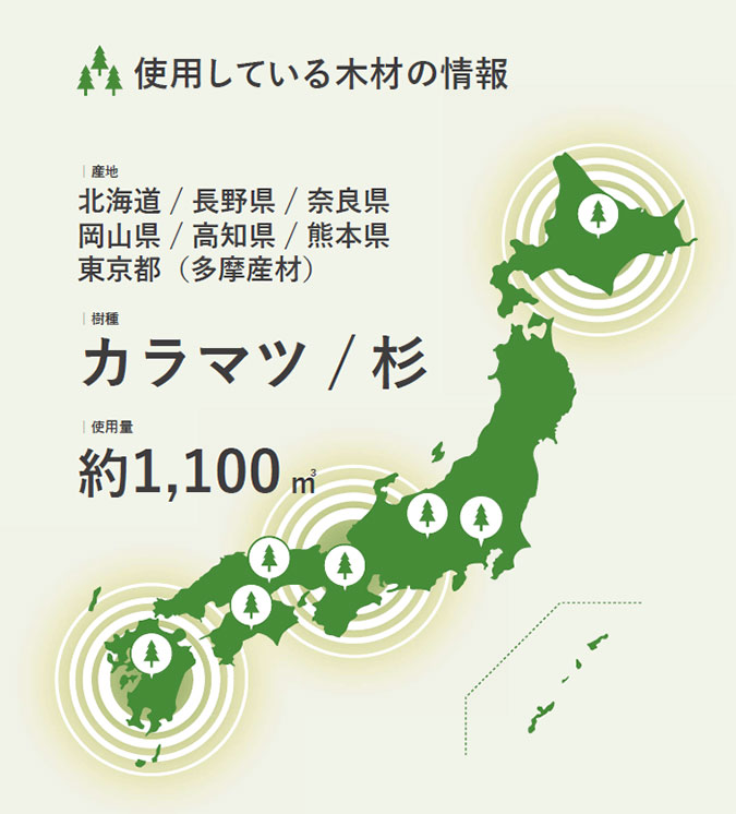 使用している木材の情報