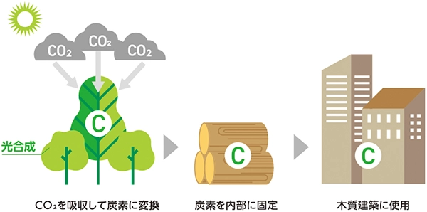森のメカニズムを建築へ