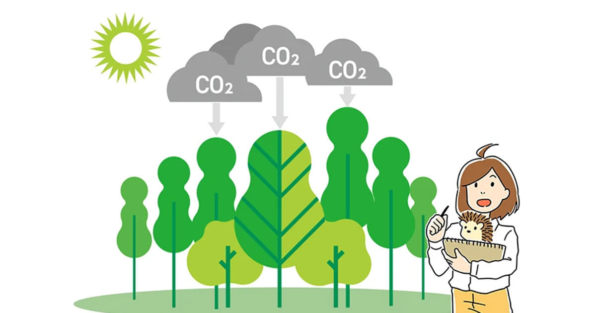 鍵を探せ！：環境と人にやさしい建築の鍵は、CO2を吸収・除去することにありました。